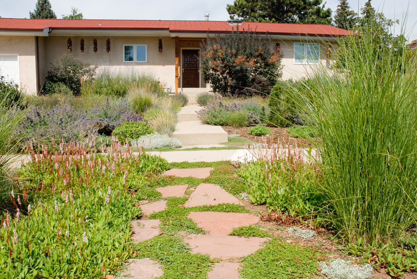 Southwest Spin Xeriscape
